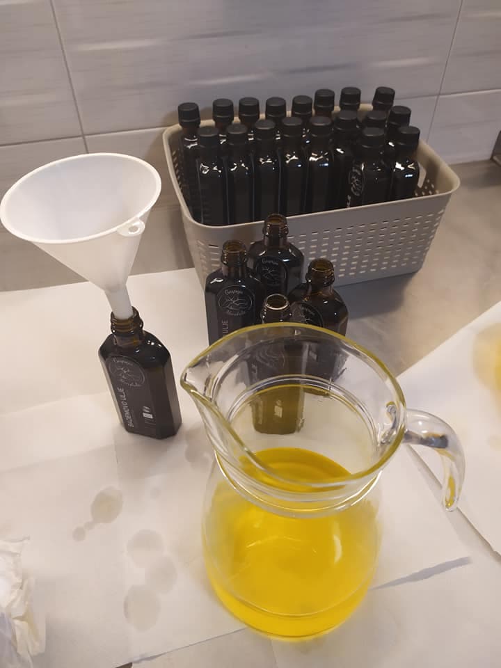 Gospoja Mendula